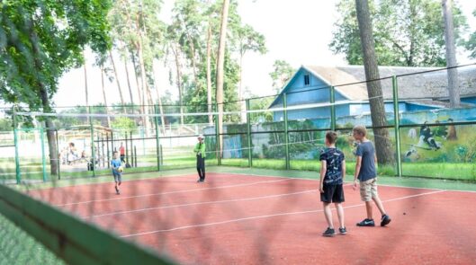 Спортивные площадки